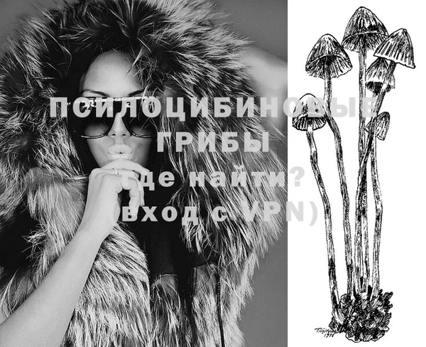 амф Алзамай