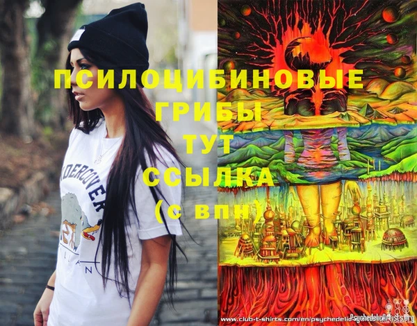 амф Алзамай